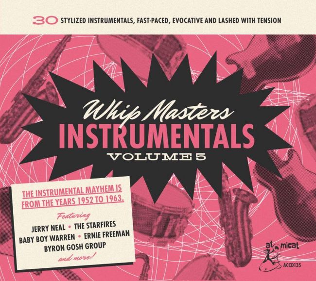 V.A. - Whip Masters Instrumentals Vol 5